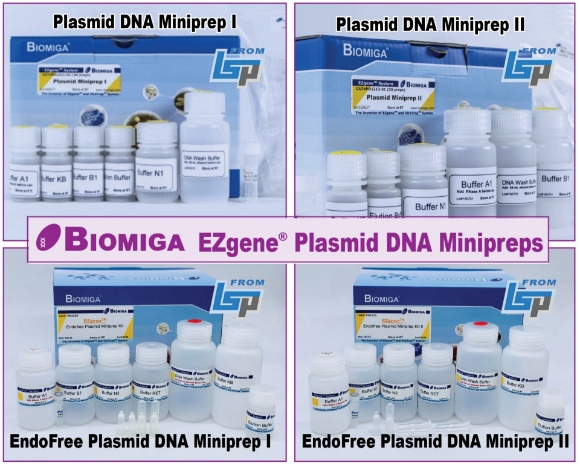 Biomiga EZgene